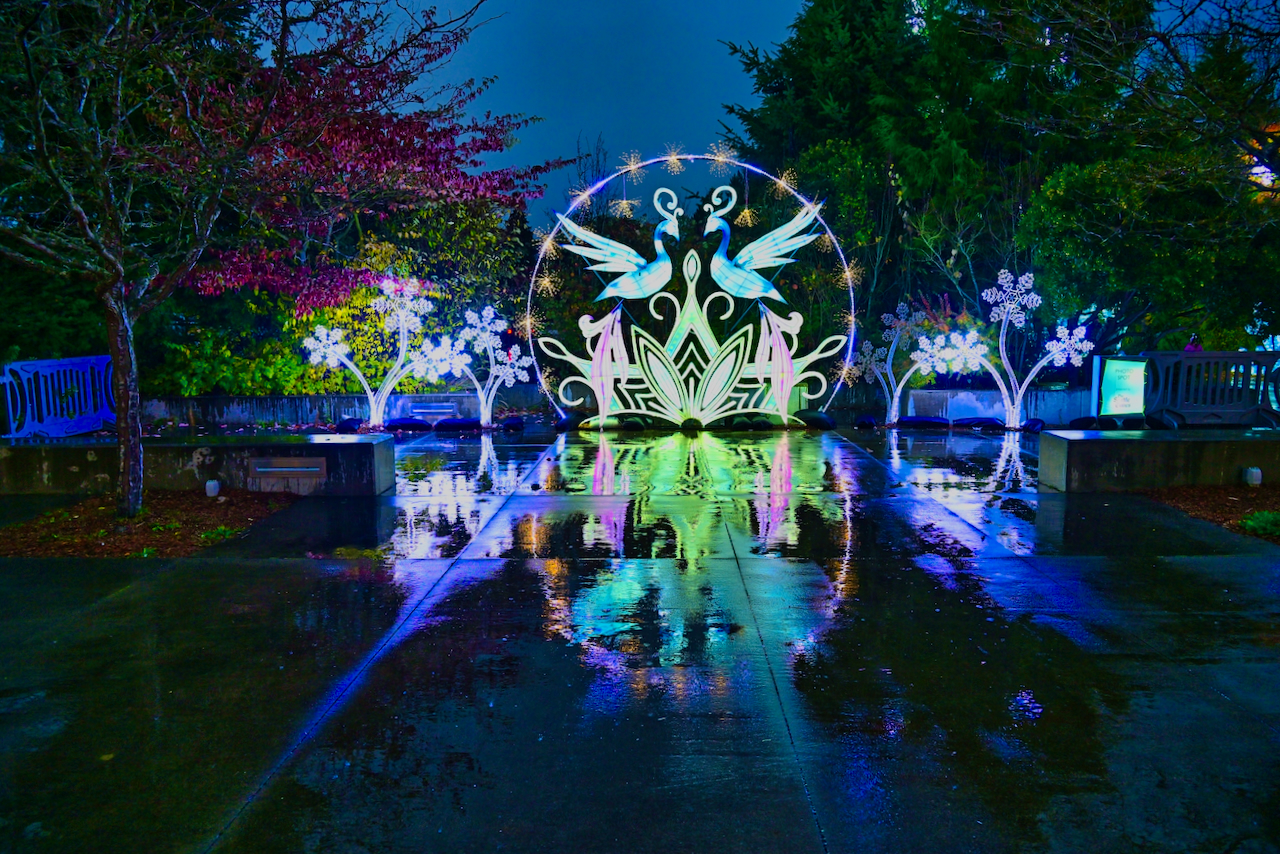Wild Lanterns is back at Woodland Park Zoo with more animals, more